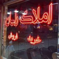 شقایق جمال لو پروفایل