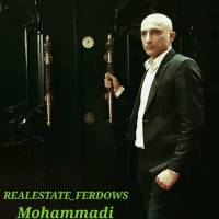 محمدی پروفایل