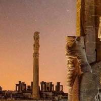 مشاور محمدرضا امینی پروفایل