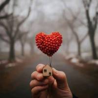 هادی گوهری پروفایل