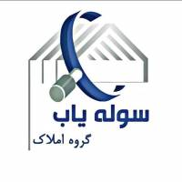 آقای لطفی پروفایل