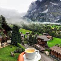 مهدی پوراکبر پروفایل