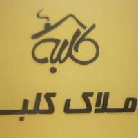 مانی مهدوی  پروفایل