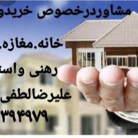 علیرضا لطفی پروفایل