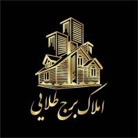 محمدرضا حمزه پروفایل