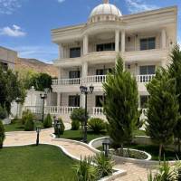 مجتبی صیادنسب  پروفایل
