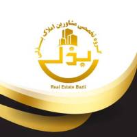 محمد تقی بذلی  پروفایل