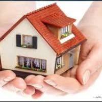 علی طباطبایی پروفایل