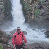 یاشار ترکان پروفایل