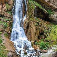 آقای زمانی کیا پروفایل
