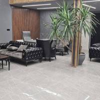 هادی حبیبی پروفایل