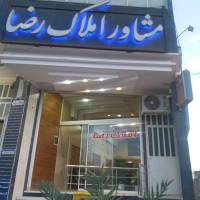 محمد رضا ابراهیمی زاده  پروفایل
