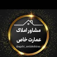 امین حسینی پروفایل