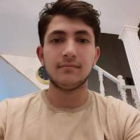ماهان محمدی پروفایل