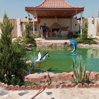 رضا احمدی  پروفایل