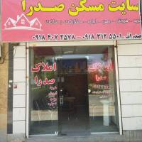 صدرایی پروفایل