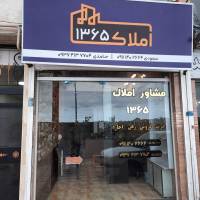 مرتضی پروفایل