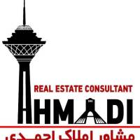 علی احمدی پروفایل