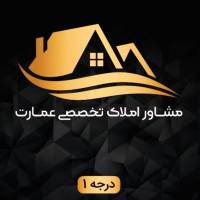ایمان مقصودی پروفایل