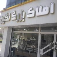 سیاوش حسن زاده پروفایل