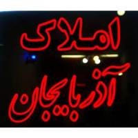  نقوی پروفایل