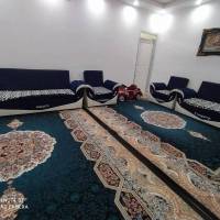 امین نظریان پروفایل