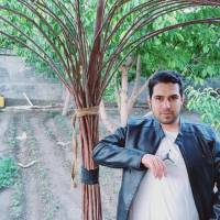 فرهاد پکوک  پروفایل