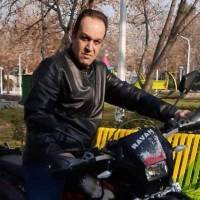 مهدی شالچی پروفایل