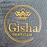مرتضی رمضانی  پروفایل