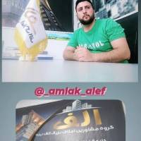 علی الف زاده  پروفایل
