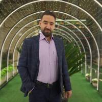 امیررضا سوگندی پروفایل