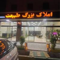 مانی ملکی پروفایل