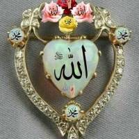 اسماعیل زهی پروفایل