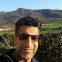 یوسف مقدم پروفایل