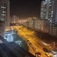 محمد منوری پروفایل