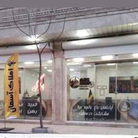 امیرکاشفی جاوید پروفایل