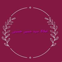 سید حسین حسینی پروفایل