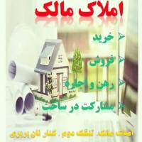 سعید سعیدی پروفایل
