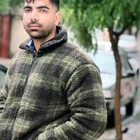 علی شعبانی پروفایل