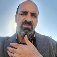 مجتبی شمسی  پروفایل
