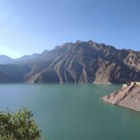 علی شیرزاد  پروفایل