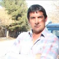 محمد ضیا پروفایل