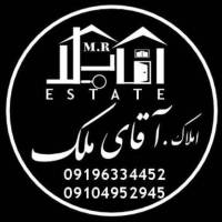 امیر علی پروفایل