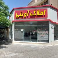 محمد رضا اسدی پروفایل