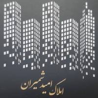 علی هلالی پروفایل