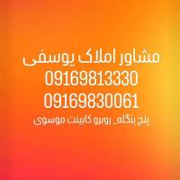 شایان یوسفی پروفایل