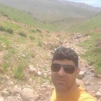 امین تقوی پروفایل