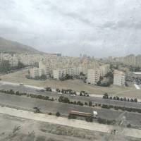 مهدى علیپور پروفایل
