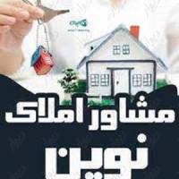 مشاور محمد امین داداش زاده پروفایل
