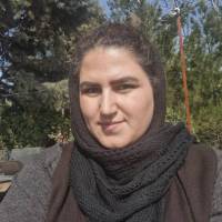  طیبه خدایاری پروفایل